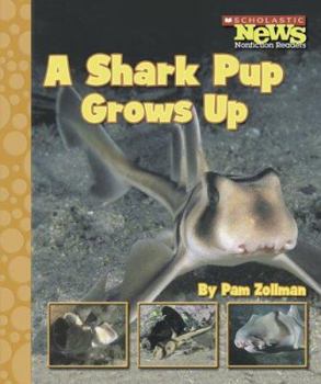 Library Binding A Shark Pup Grows Up Book