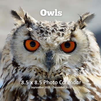 Paperback Owls 8.5 X 8.5 Calendar September 2021 -December 2022: Monthly Calendar with U.S./UK/ Canadian/Christian/Jewish/Muslim Holidays-Bird Animal Nature Book