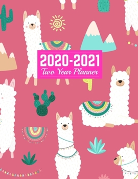 Paperback 2020-2021 Two Year Planner: Nifty Jan 1, 2020 to Dec 31, 2021 - Weekly & Monthly Planner Calendar and Schedule Organizer - Art Cover 00023187 Book