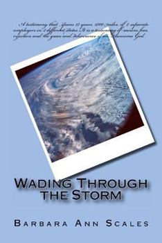 Paperback Wading Through the Storm Book