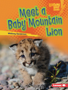 Library Binding Meet a Baby Mountain Lion Book