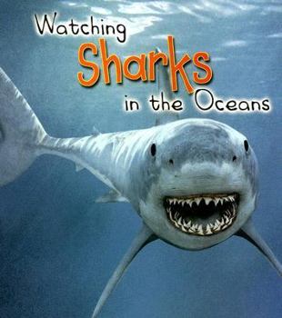 Paperback Watching Sharks in the Ocean Book