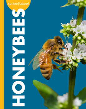 Paperback Curious about Honeybees Book