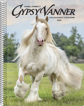 Calendar Gypsy Vanner Horse 2020 Engagement Calendar Book