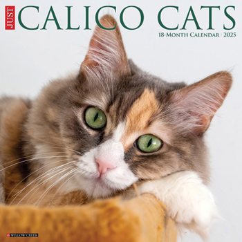 Calendar Just Calico Cats 2025 12 X 12 Wall Calendar Book