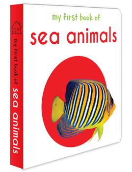 Board book My First Book of Sea Animals Book