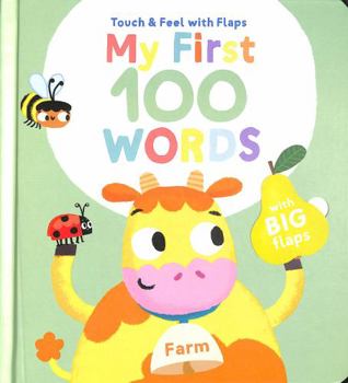 Board book Farm (My First 100 Words Touch & Feel Flaps) Book