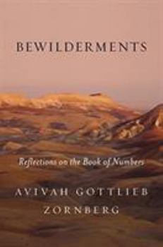 Hardcover Bewilderments: Reflections on the Book of Numbers Book