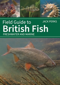 Field Guide to British Fish: Freshwater and Marine