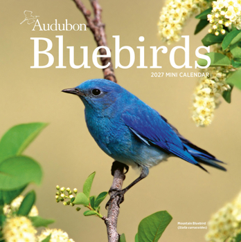 Mini-Disc Audubon Bluebirds Mini Wall Calendar 2027 Book