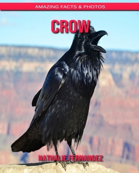 Crow: Amazing Facts & Photos