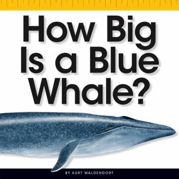 Library Binding How Big Is a Blue Whale? Book