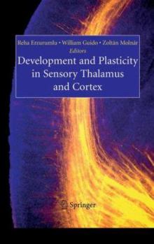 Hardcover Development and Plasticity in Sensory Thalamus and Cortex Book
