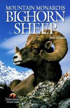Paperback Bighorn Sheep: Mountain Monarchs Book