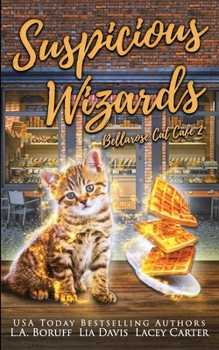 Paperback Suspicious Wizards Book