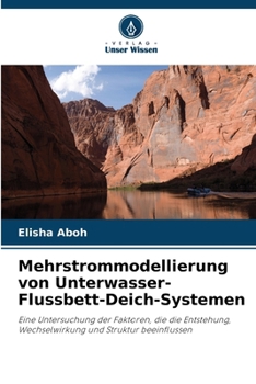 Paperback Mehrstrommodellierung von Unterwasser-Flussbett-Deich-Systemen [German] Book