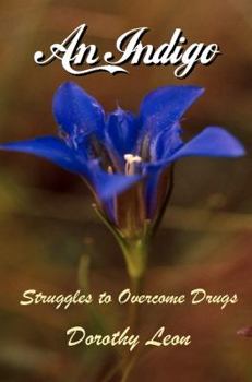 Perfect Paperback An Indigo Struggle to Overcome Drugs Book