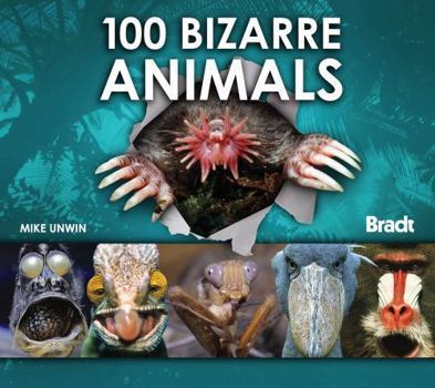 Hardcover 100 Bizarre Animals Book