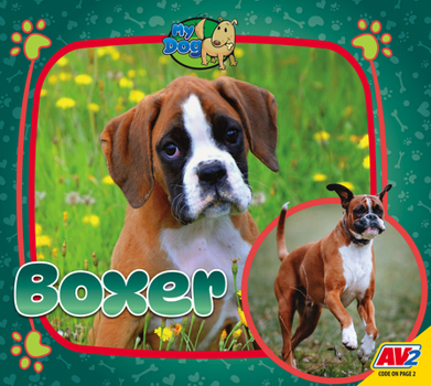Paperback Boxer Book