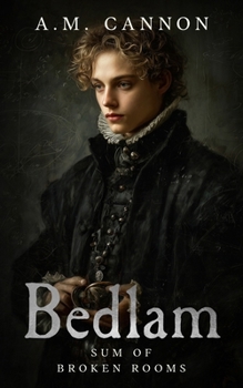 Paperback Sum of Broken rooms Book
