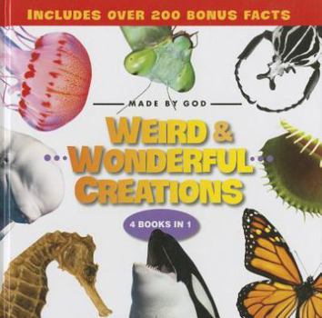 Hardcover Weird & Wonderful Creations Book