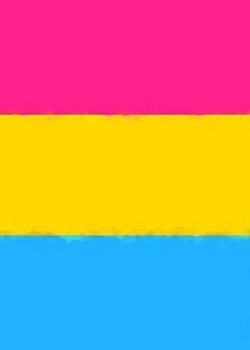 Paperback Pansexual Pride Flag Sketchbook Book