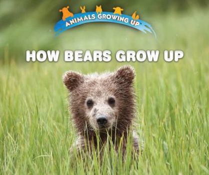 Paperback How Bears Grow Up Book