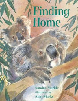 Hardcover Finding Home Book