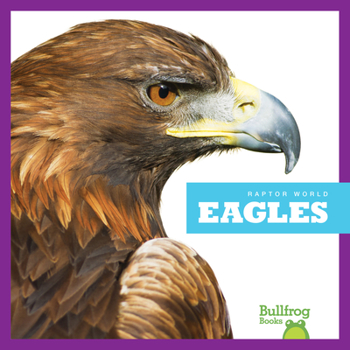 Paperback Eagles Book