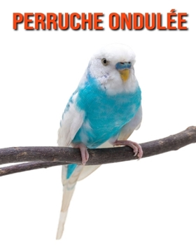 Paperback Perruche Ondul?e: Recueil pour Enfants de Belles Images & d'Informations Int?ressantes Concernant les Perruche Ondul?e [French] Book