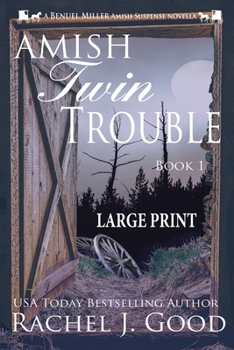 Twin Trouble - Large Print: A Benuel Miller Amish Suspense Novel