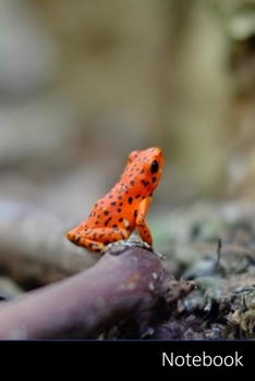 Notebook: Amphibian,  Frog,  Animal,  Macro themed Notebook / Journal / Diary / Composition book / Daily Planner - 6 x 9 inches (15,24 x 22,86 cm), 150 pages, glossy finish.