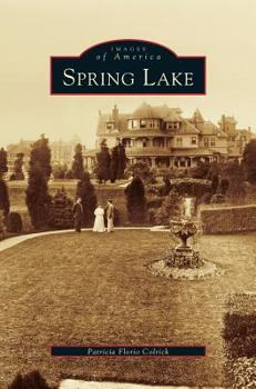 Hardcover Spring Lake Book