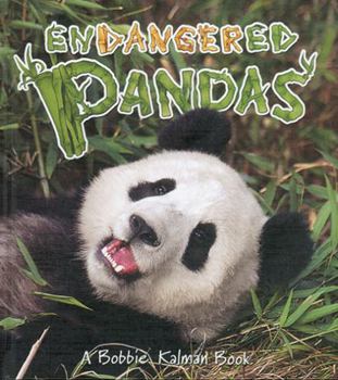 Paperback Endangered Pandas Book
