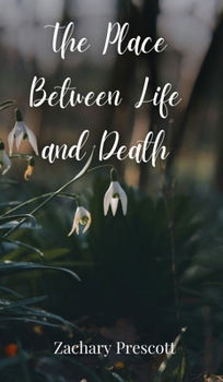 The Place Between Life and Death
