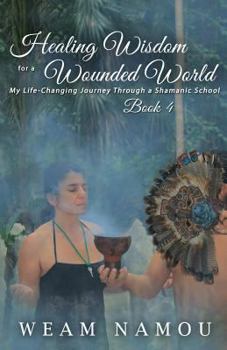 Paperback Healing Wisdom for a Wounded World: My Life-Changing Journey Through a Shamanic School (Book 4) Book