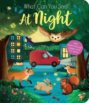 Board book What Can You See? at Night: With Peek-Through Pages and Fun Facts! Book