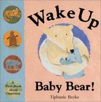 Hardcover Wake Up Baby Bear!: A First Book about Opposites Book