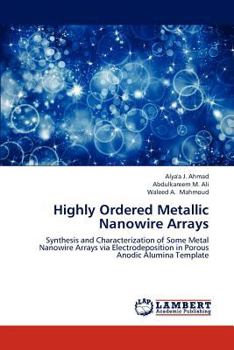 Paperback Highly Ordered Metallic Nanowire Arrays Book