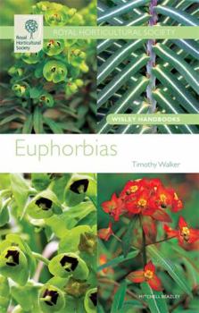 Paperback Euphorbias. Timothy Walker Book