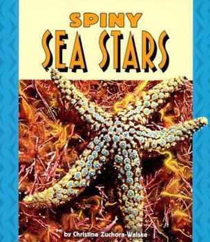 Paperback Spiny Sea Stars Book