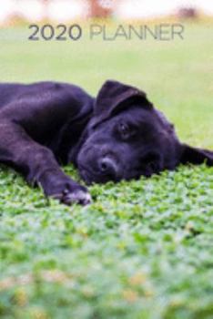 2020 Planner: Increase productivity, improve time management, reach your goals: Black Labrador Retriever puppy: Modern artistic photography style