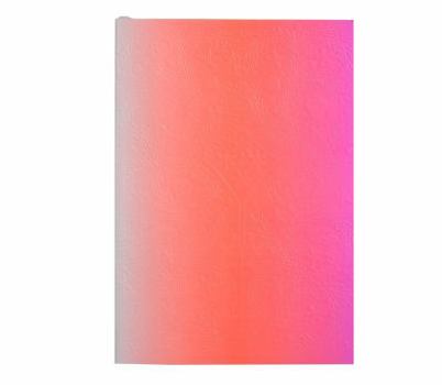 Misc. Christian LaCroix Neon Pink A5 8" X 6" Ombre Paseo Notebook Book