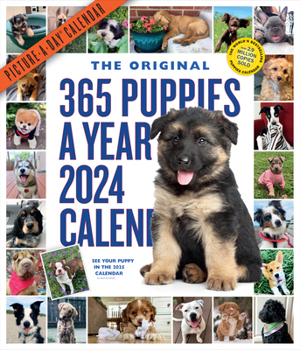 Calendar 365 Puppies-A-Year Picture-A-Day Wall Calendar 2024: Absolutely Spilling Over with Puppies Book