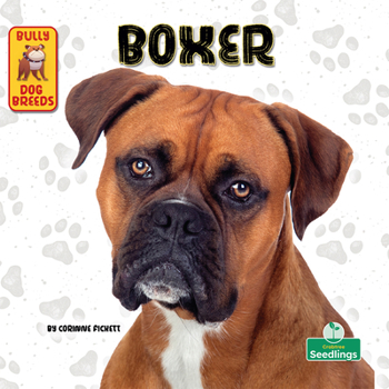 Paperback Boxer Book