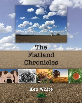 Paperback The Flatland Chronicles Book