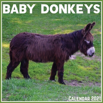 Paperback Baby Donkeys Calendar 2021: Official Baby Donkeys Calendar 2021, 12 Months Book