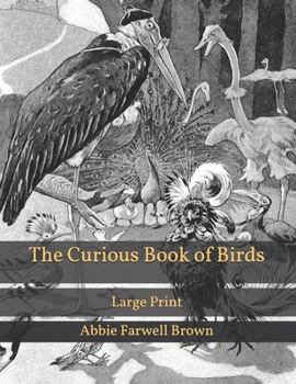 Paperback The Curious Book of Birds: Large Print Book