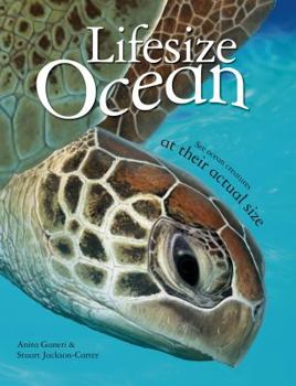 Hardcover Lifesize: Ocean: See Ocean Creatures at Their Actual Size Book