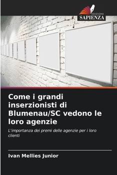 Come i grandi inserzionisti di Blumenau/SC vedono le loro agenzie